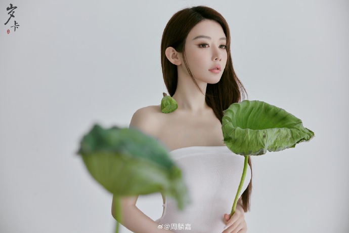 钢之炼金术师FA